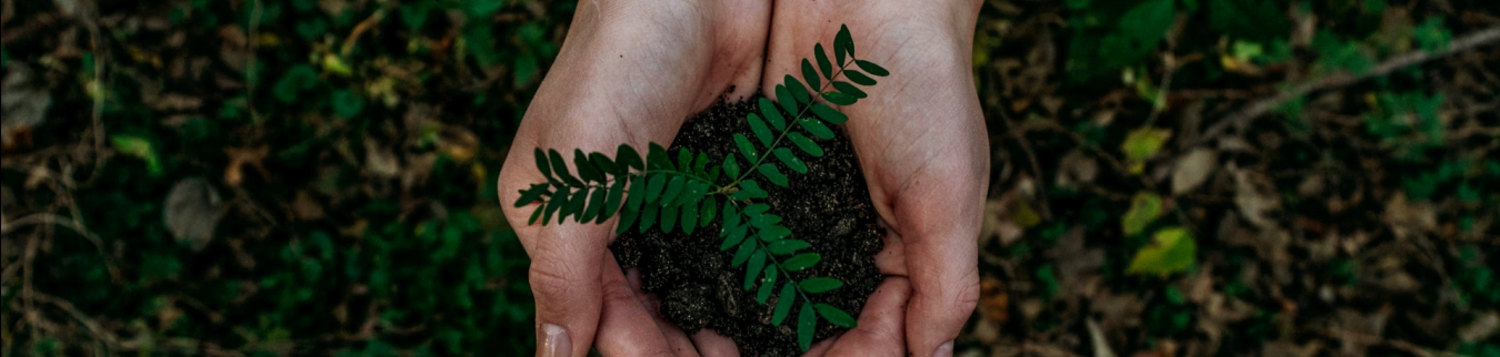 Sustainability - Photo 1