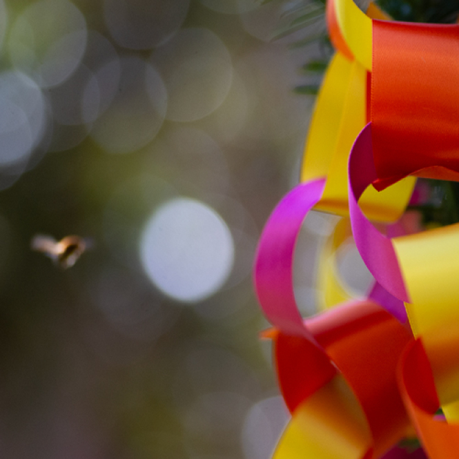 Florist packaging 1 - image