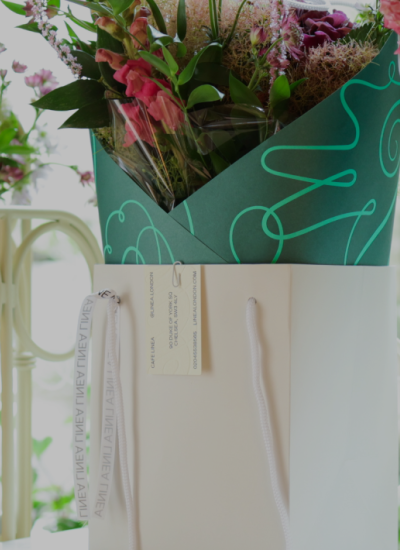 Welcome to A New Era of Tiny Box