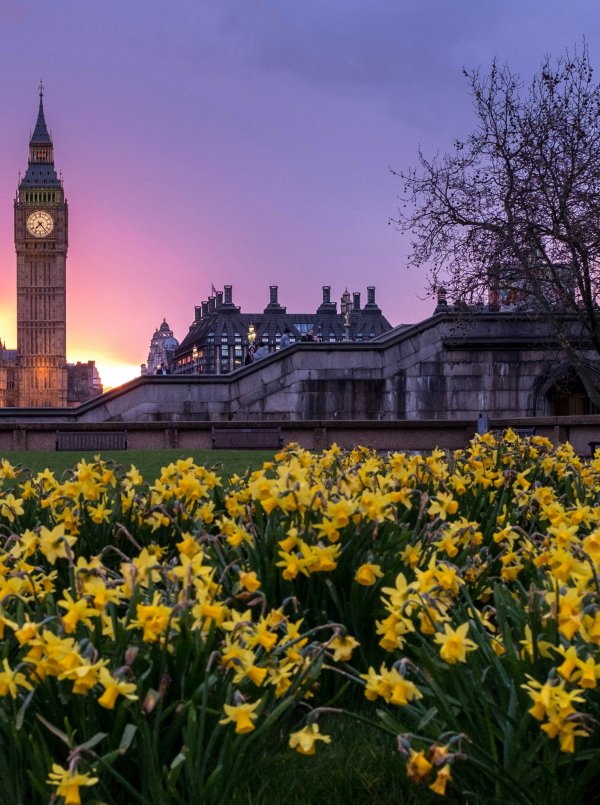 Spring Statement 2025: An update for small businesses